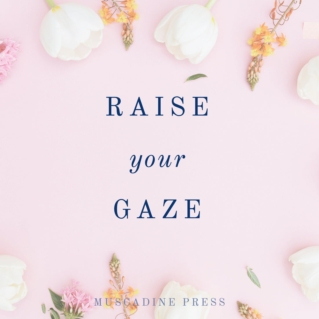 Raise Your Gaze