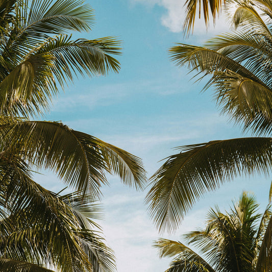 Out of Office Notice