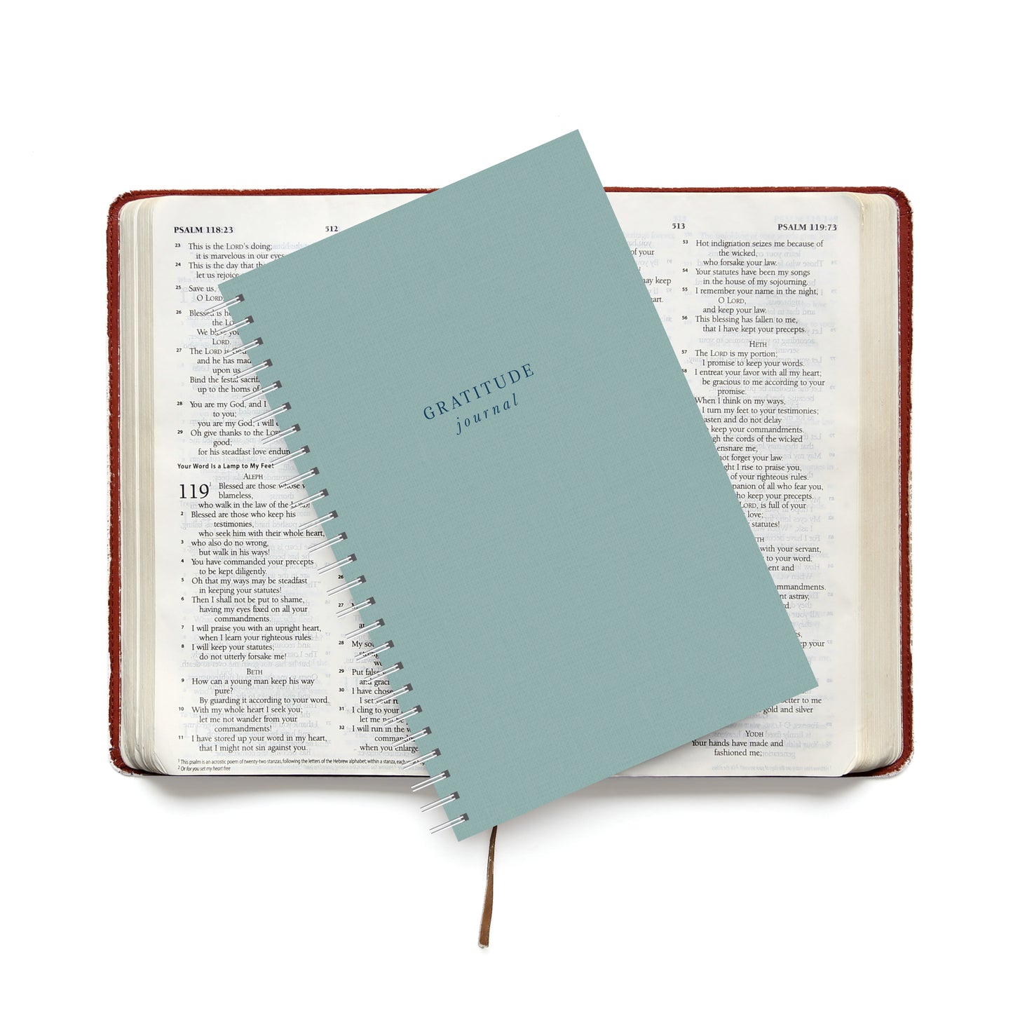 Gratitude Journal