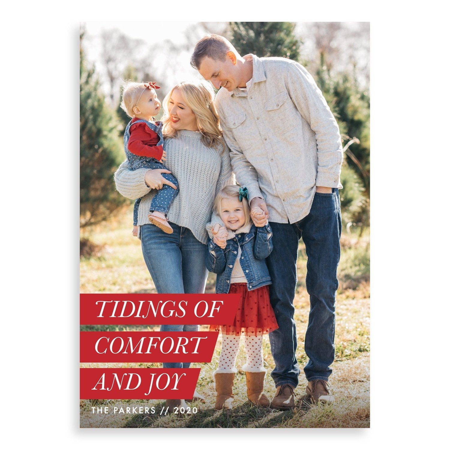 Tidings of Comfort and Joy Christmas Cards from Muscadine Press
